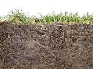 El suelo agrícola: La función de la maquinaria en su conservación